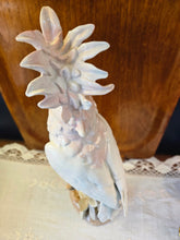 Load image into Gallery viewer, Vintage Cockatoo Royal Dux Porcelain
