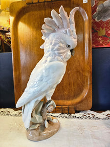 Vintage Cockatoo Royal Dux Porcelain